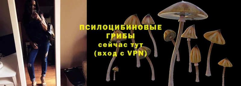 Галлюциногенные грибы MAGIC MUSHROOMS  Клин 